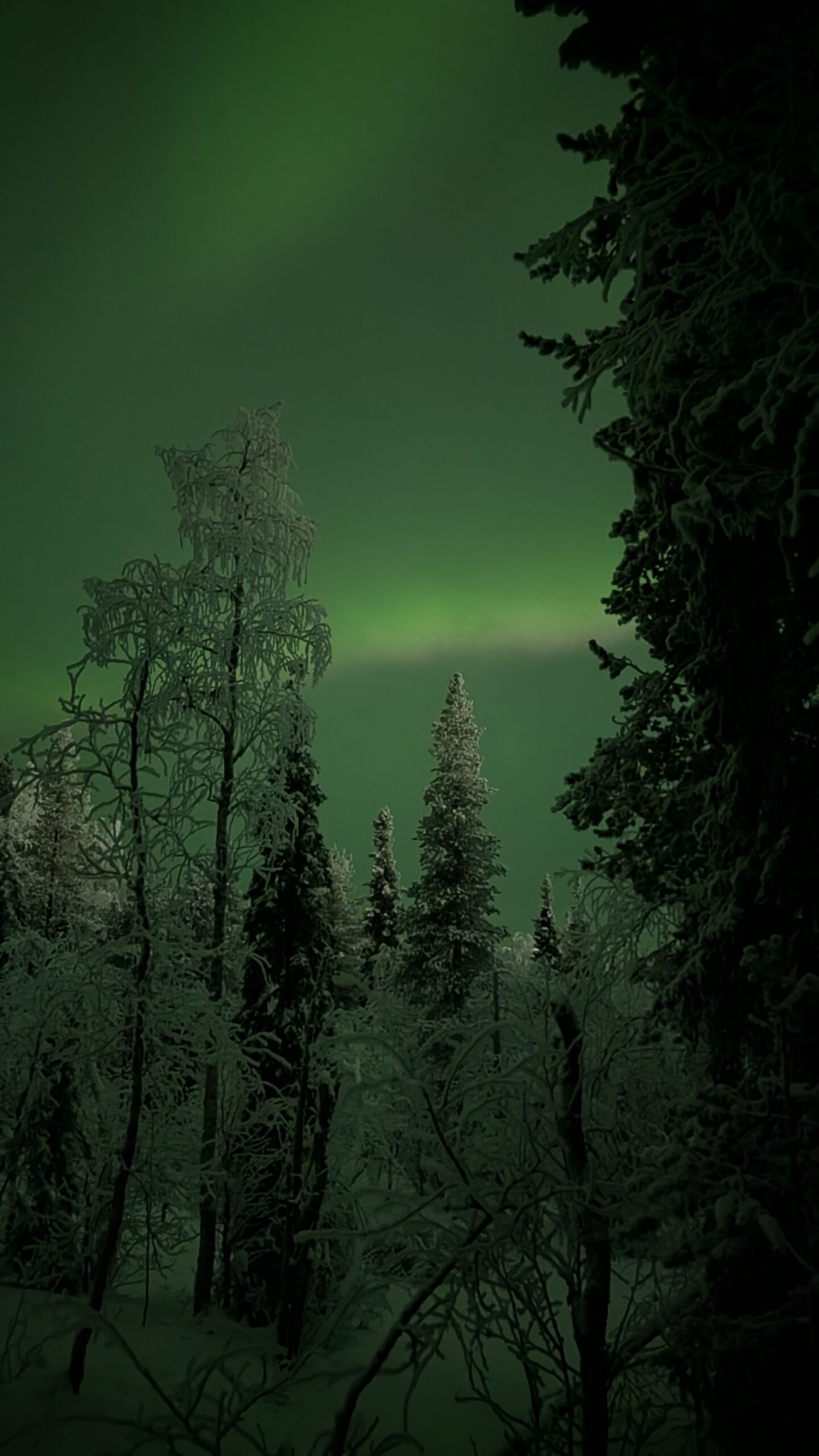 Destinazioni nascoste della Lapponia
